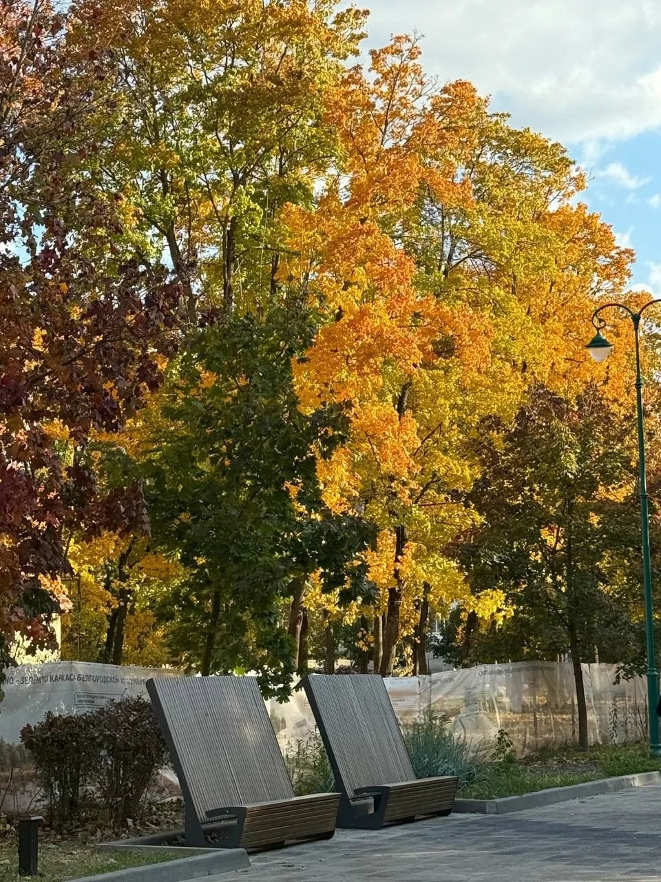 Осенний Центральный Парк🍂