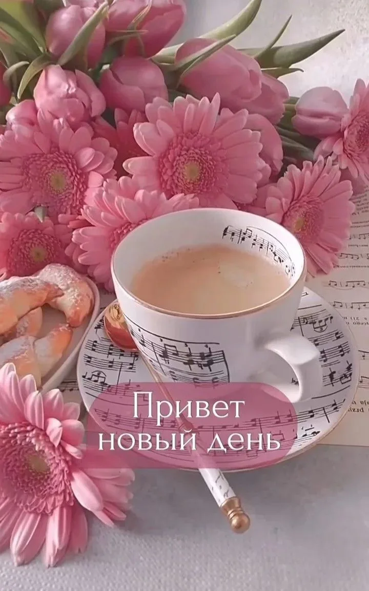Доброе утро, друзья!