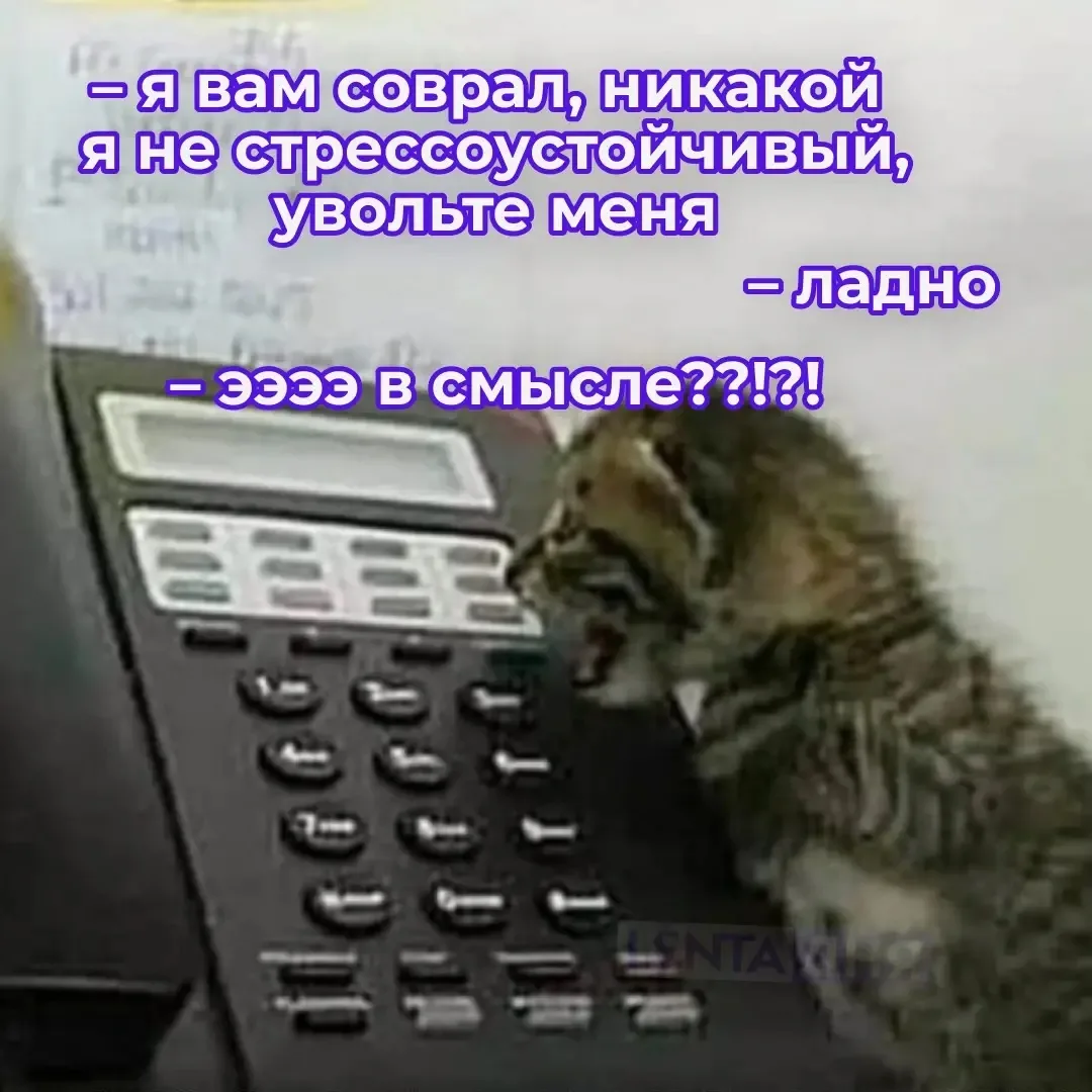 😪 Работодатели перестали удерживать россиян