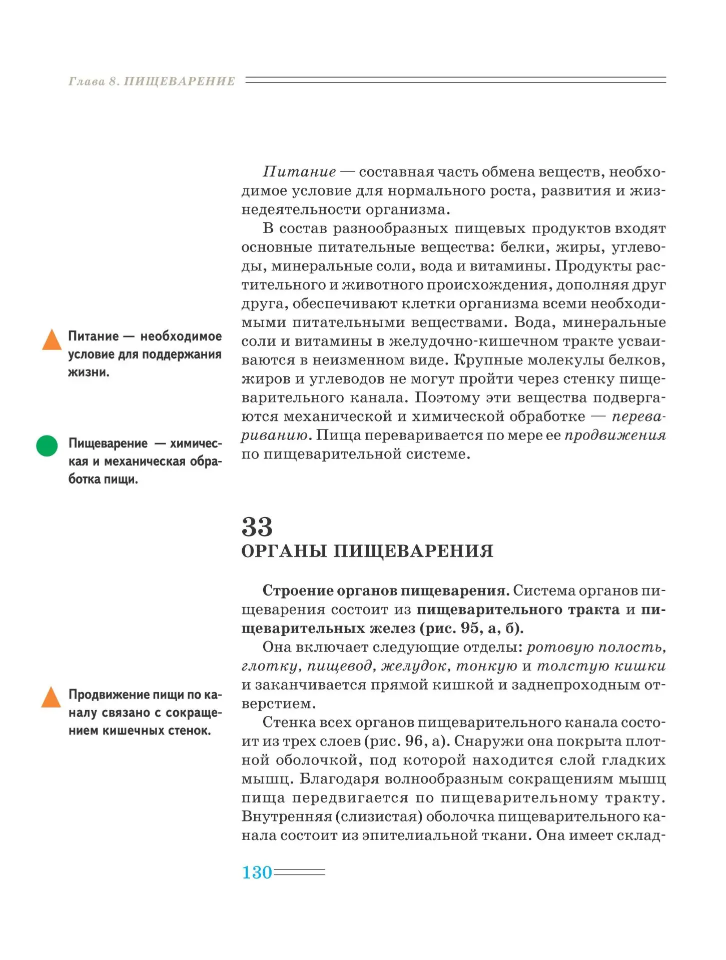 Пищеварение