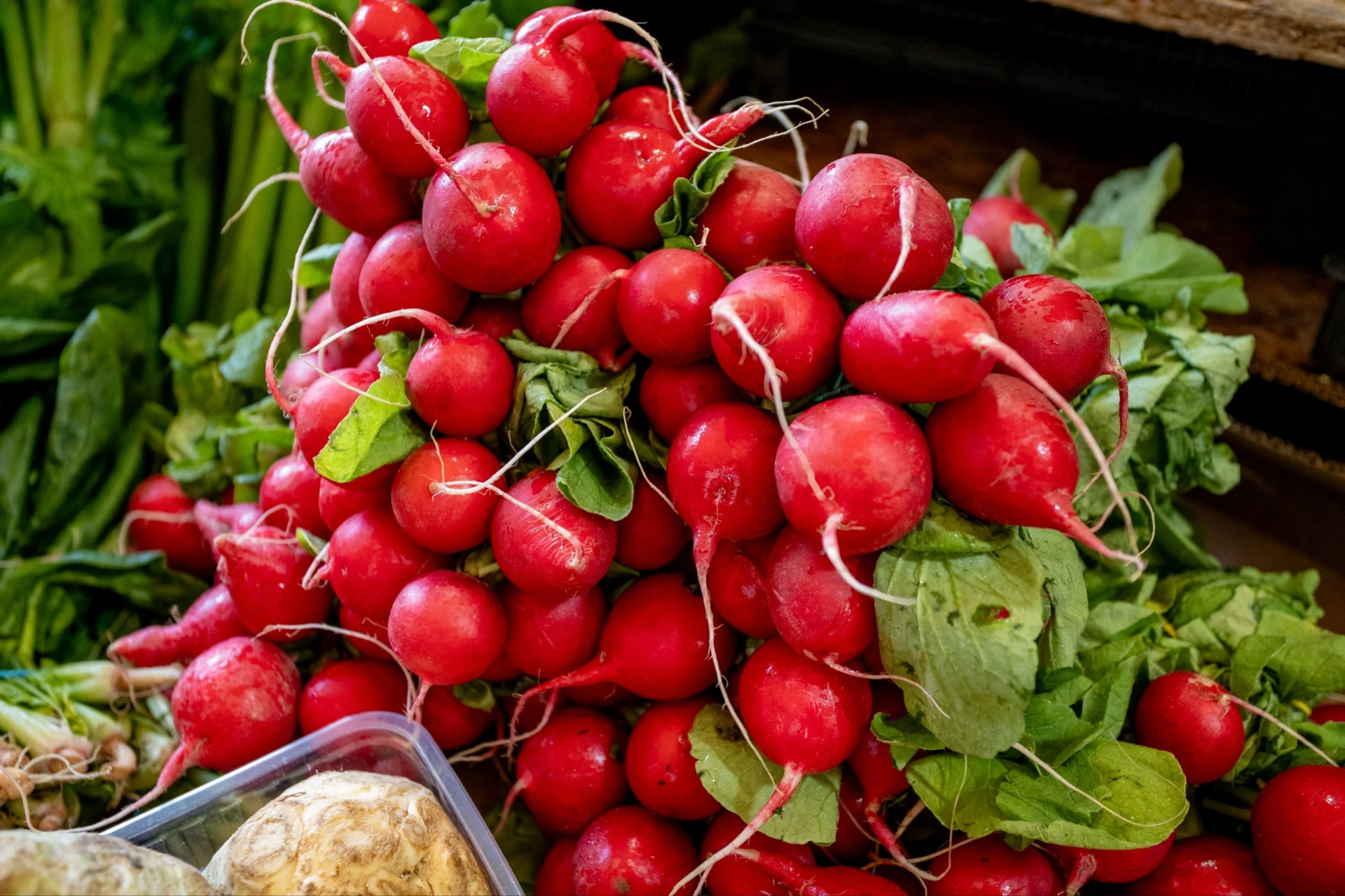 👨‍🌾 Хрустящий октябрь