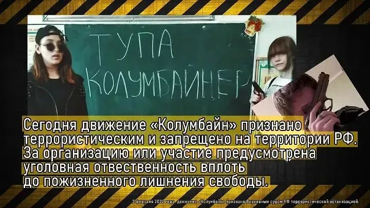 Что нужно знать родителям и детям о субкультуре «Колумбайн»⚠В 2022 г. Верховный суд Рос...
