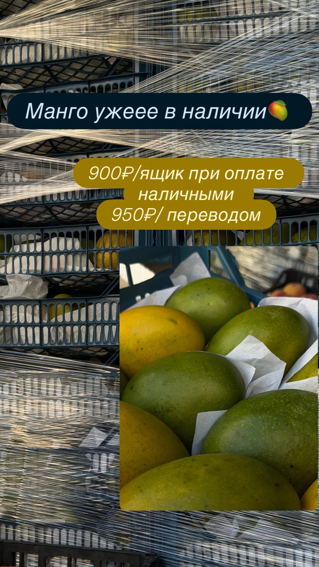 Манго ужеее в наличии 🥭