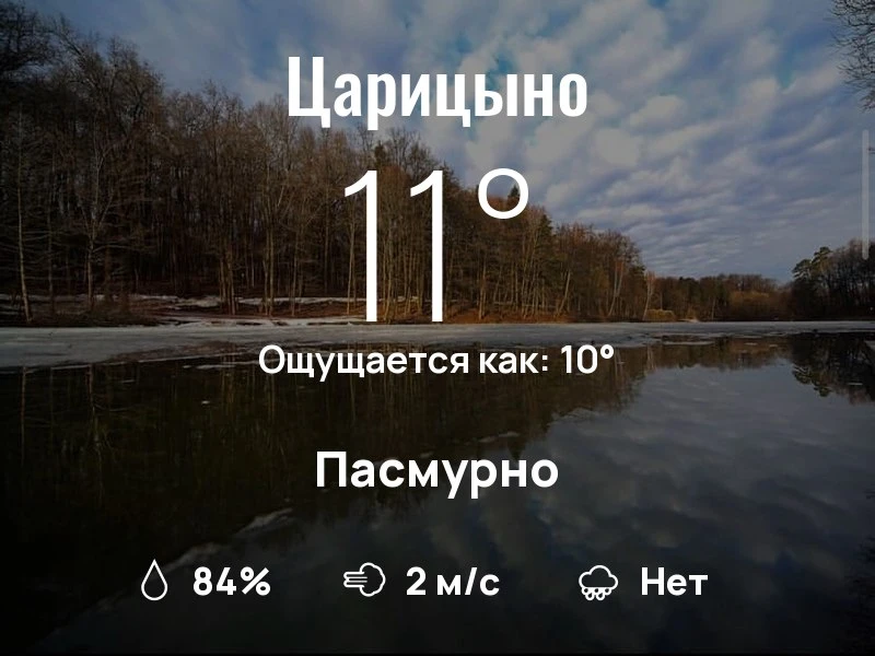 Что с погодой в Царицыно?