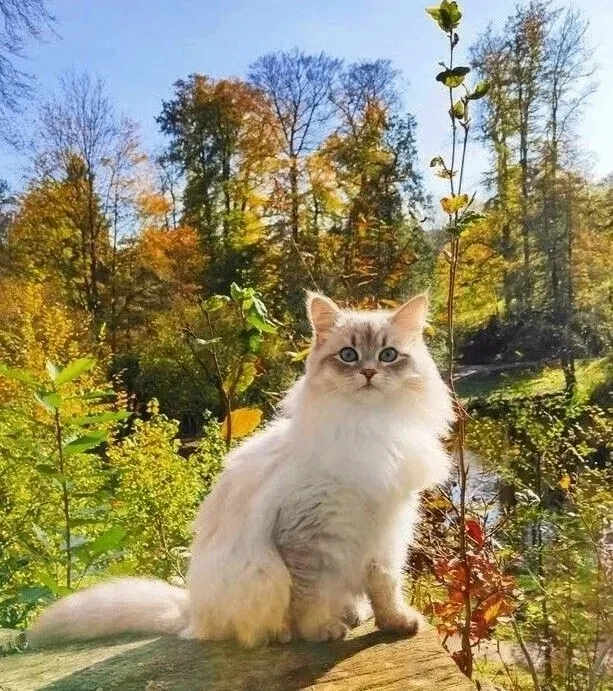 Класс
