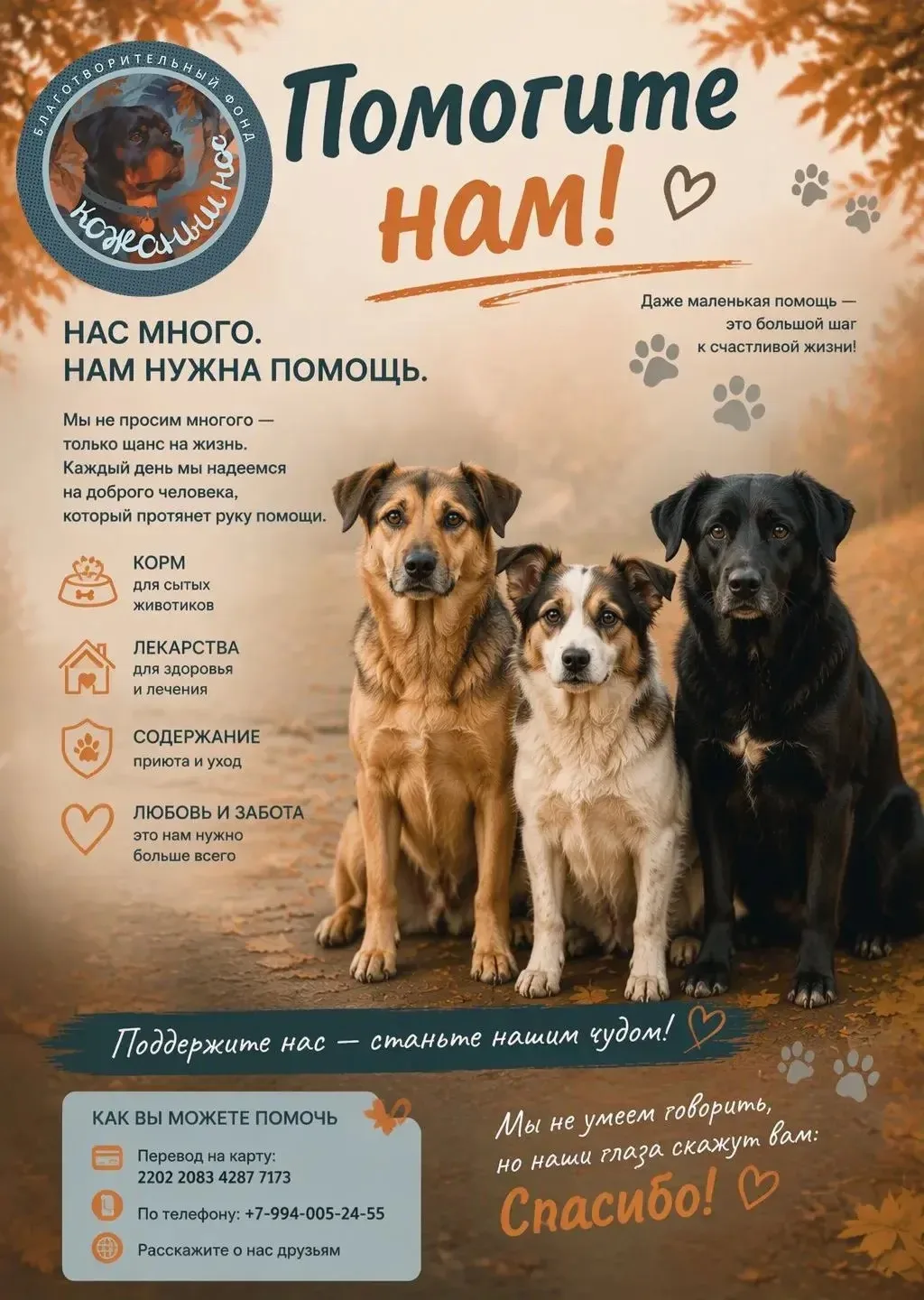 ❤️ ДОРОГА К ЖИЗНИ БЕЗ ДОЛГОВ ПРОДОЛЖАЕТСЯ!