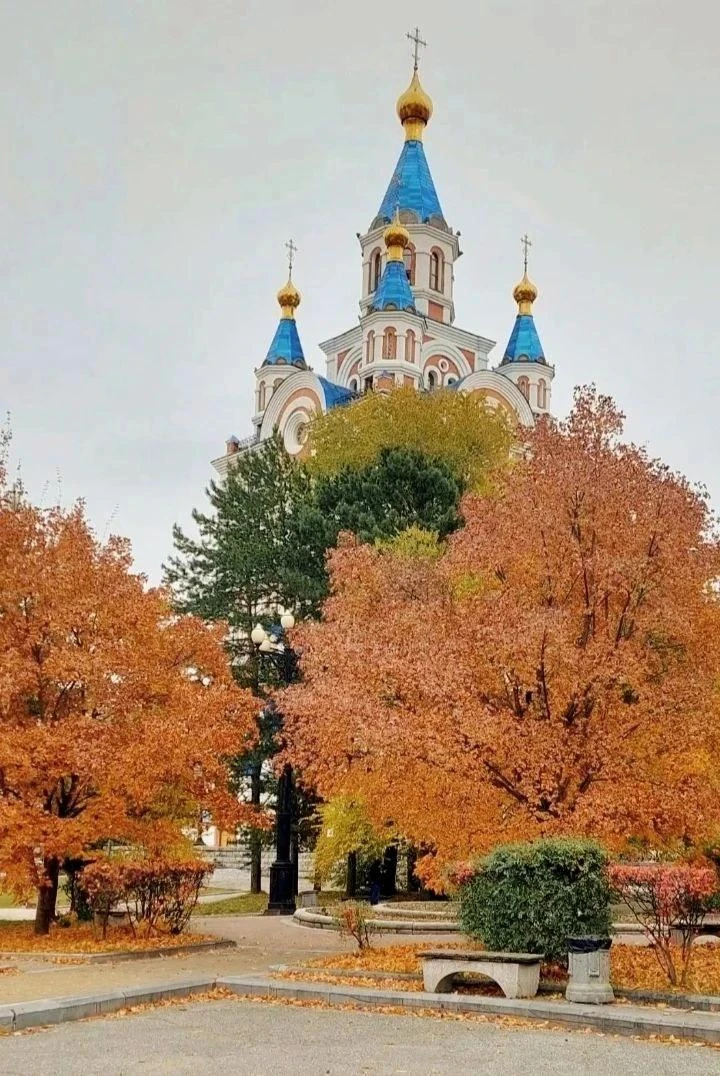 ☀️ Сегодня в Хабаровске с утра 0, днём до +8, солнечно.