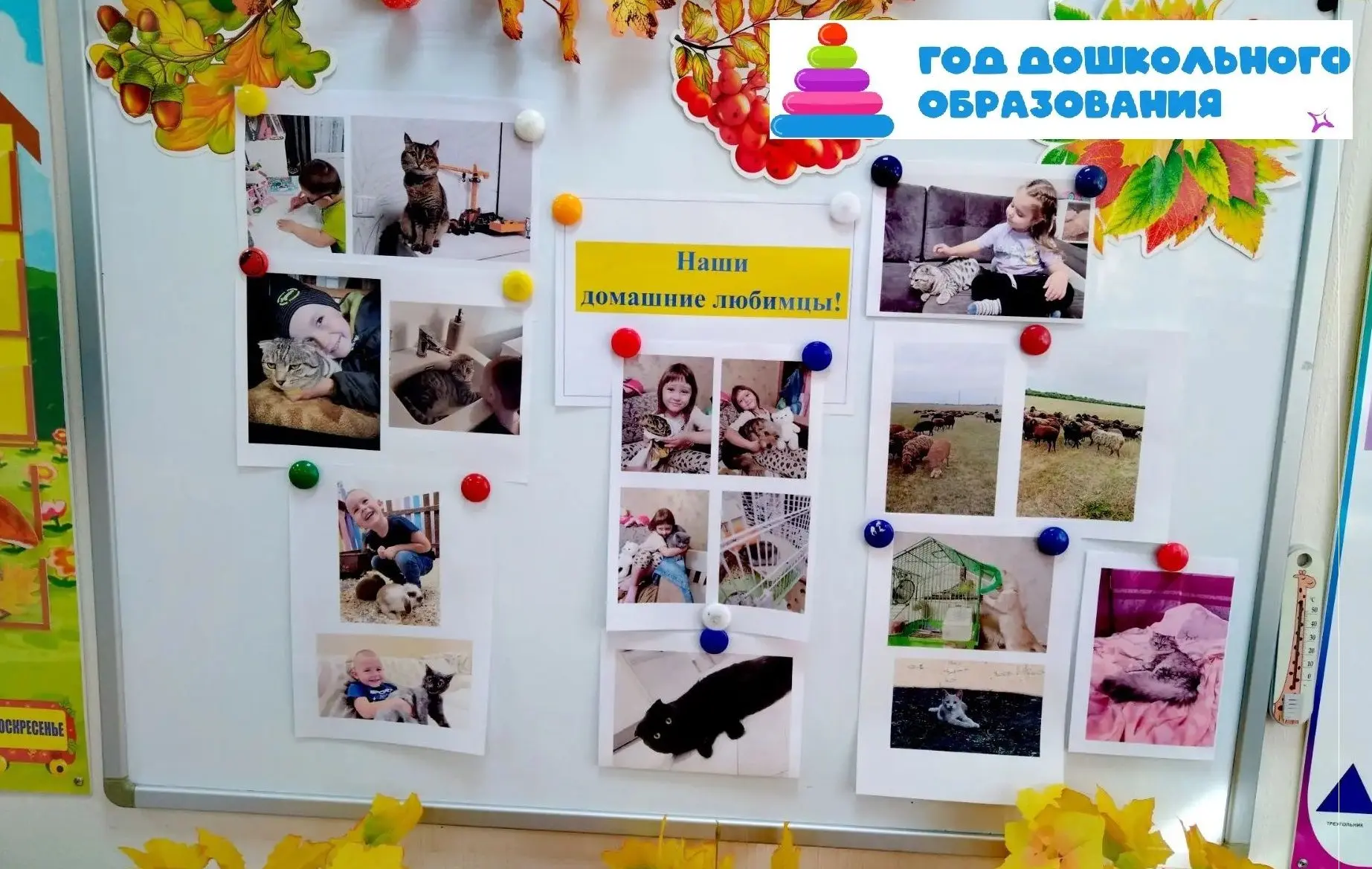 ✅В нашем детском саду прошла тематическая неделя, посвящённая домашним животным🐶🐱🐹. ...