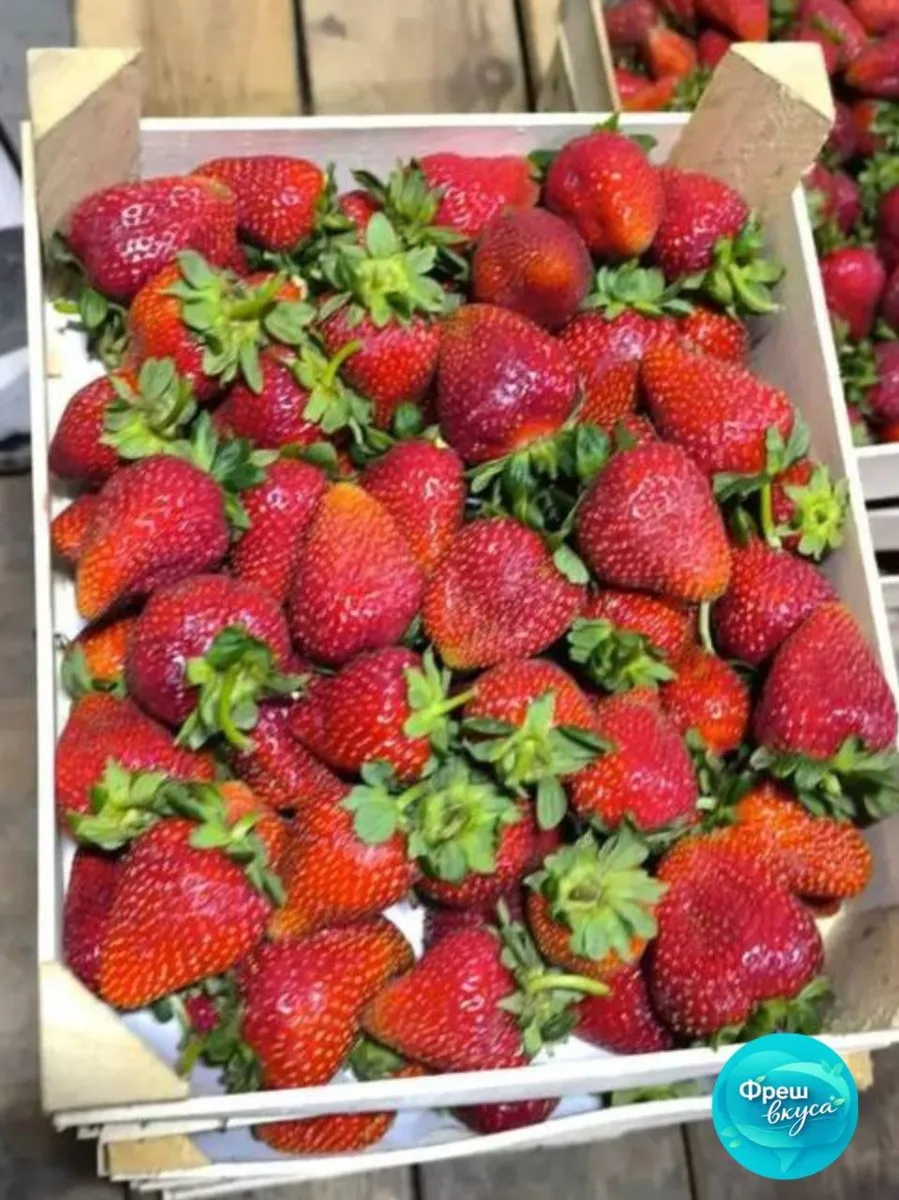 🍓 Уже середина октября - успеем ли ещё за свежей ягодой?