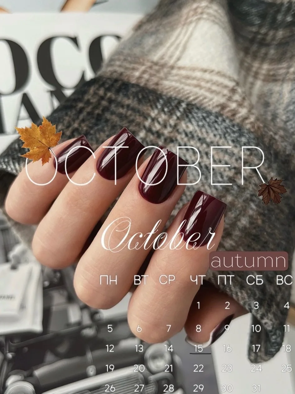 Работаем в обычном режиме, до 20:00 🍂