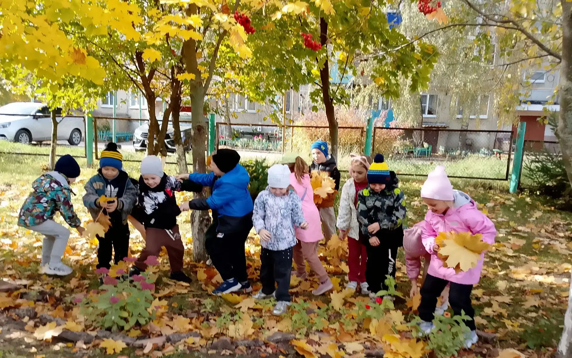 🍁 🍁 🍁 Осень - прекрасное время года, которое дарит нам яркие краски природы, а прогу...
