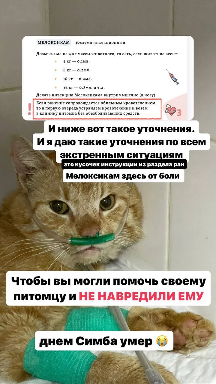 Чтобы вы могли помочь своему питомцу, а не навредить ему ещё сильнее, вам нужно знать, ...