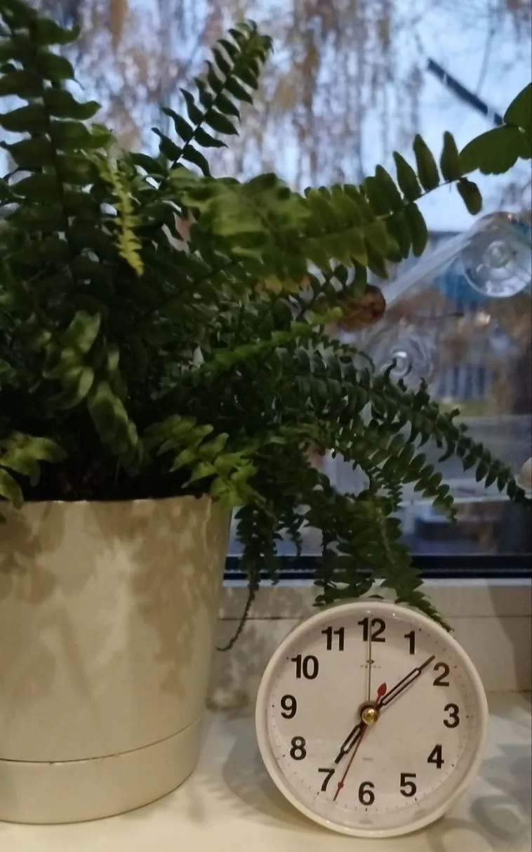 Утро доброе! ❤️ Дай Бог, спокойное... 🍀