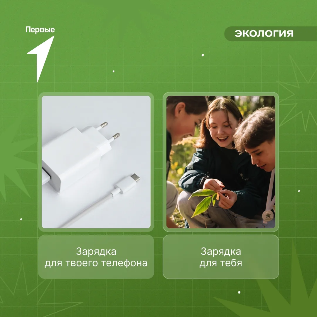 Собери команду и открой клуб Юннатов Первых! 🌿🦉