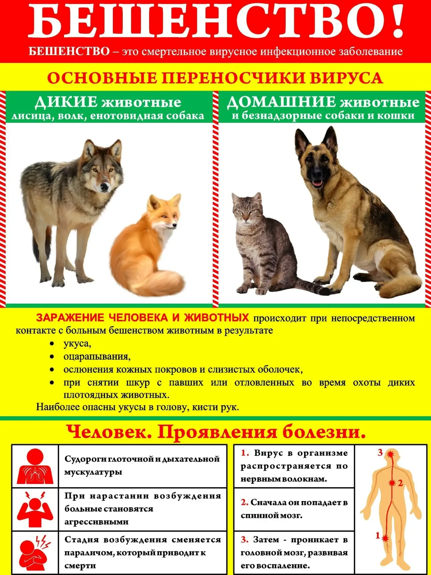 ⚠️ Ещё один карантин по бешенству в Веслянке