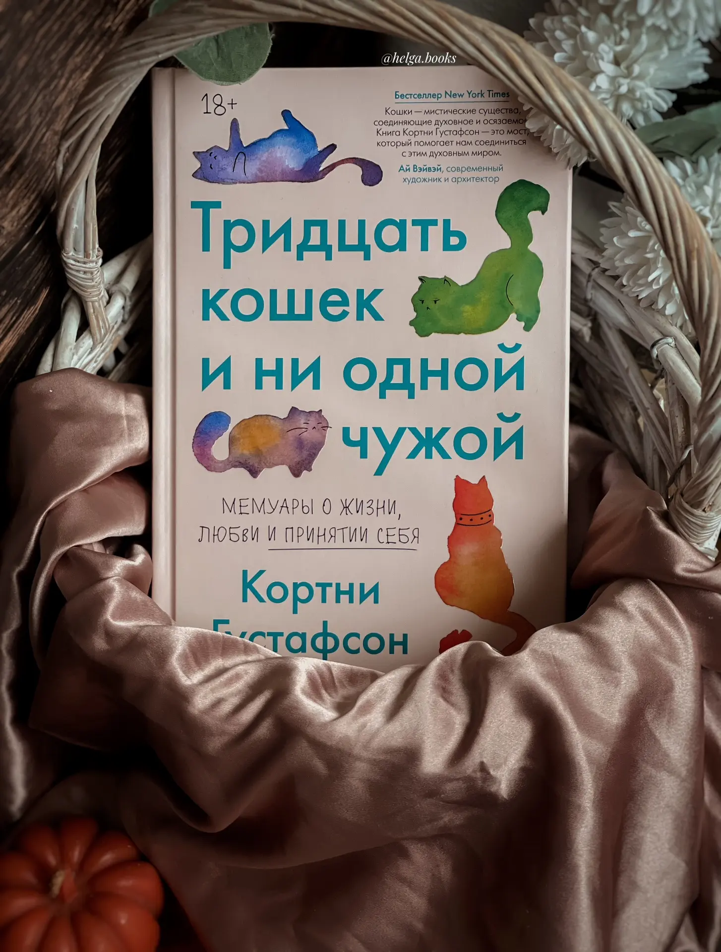 📖 Тридцать кошек и ни одной чужой