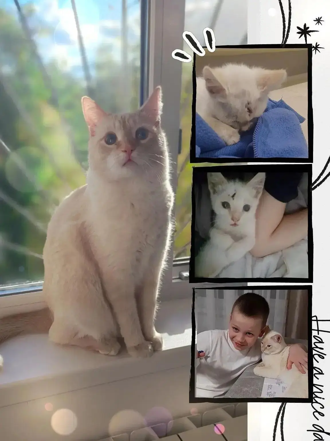 🐾 Добрый поступок, который подарил жизнь и любовь