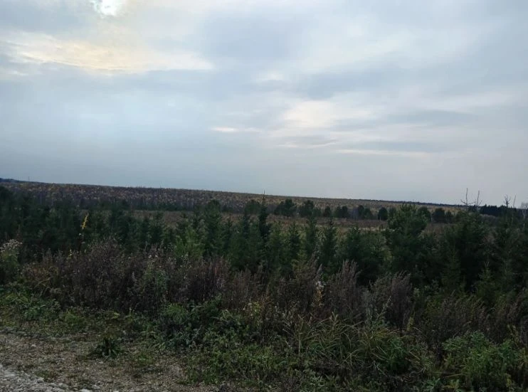 Тёплый ноябрь в Башкирии: прогноз погоды.
