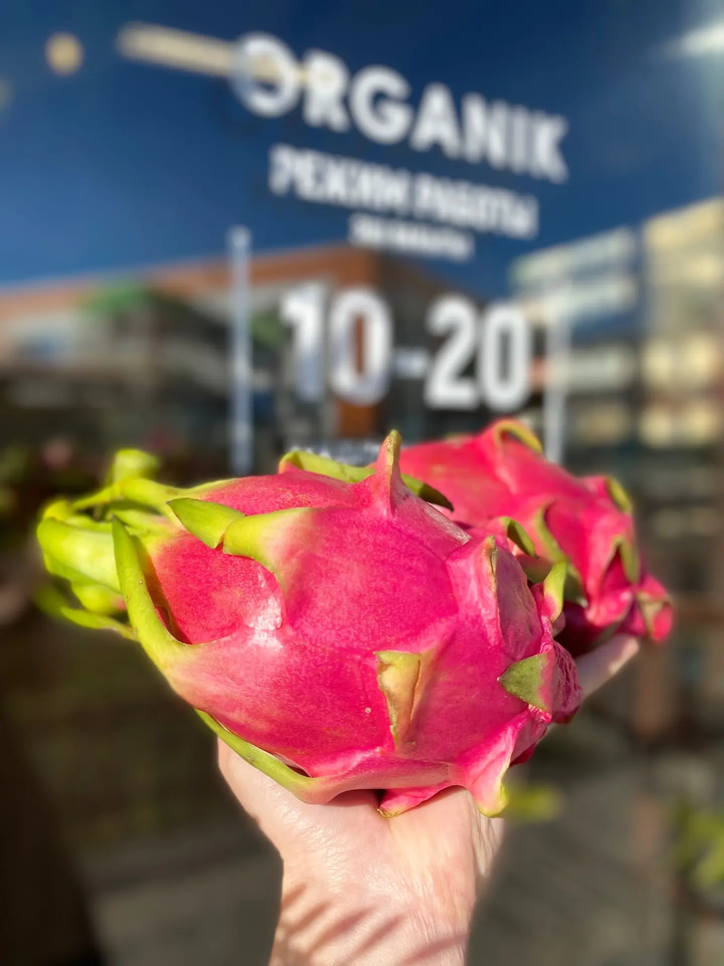 Яркий драконий фрукт 🩷