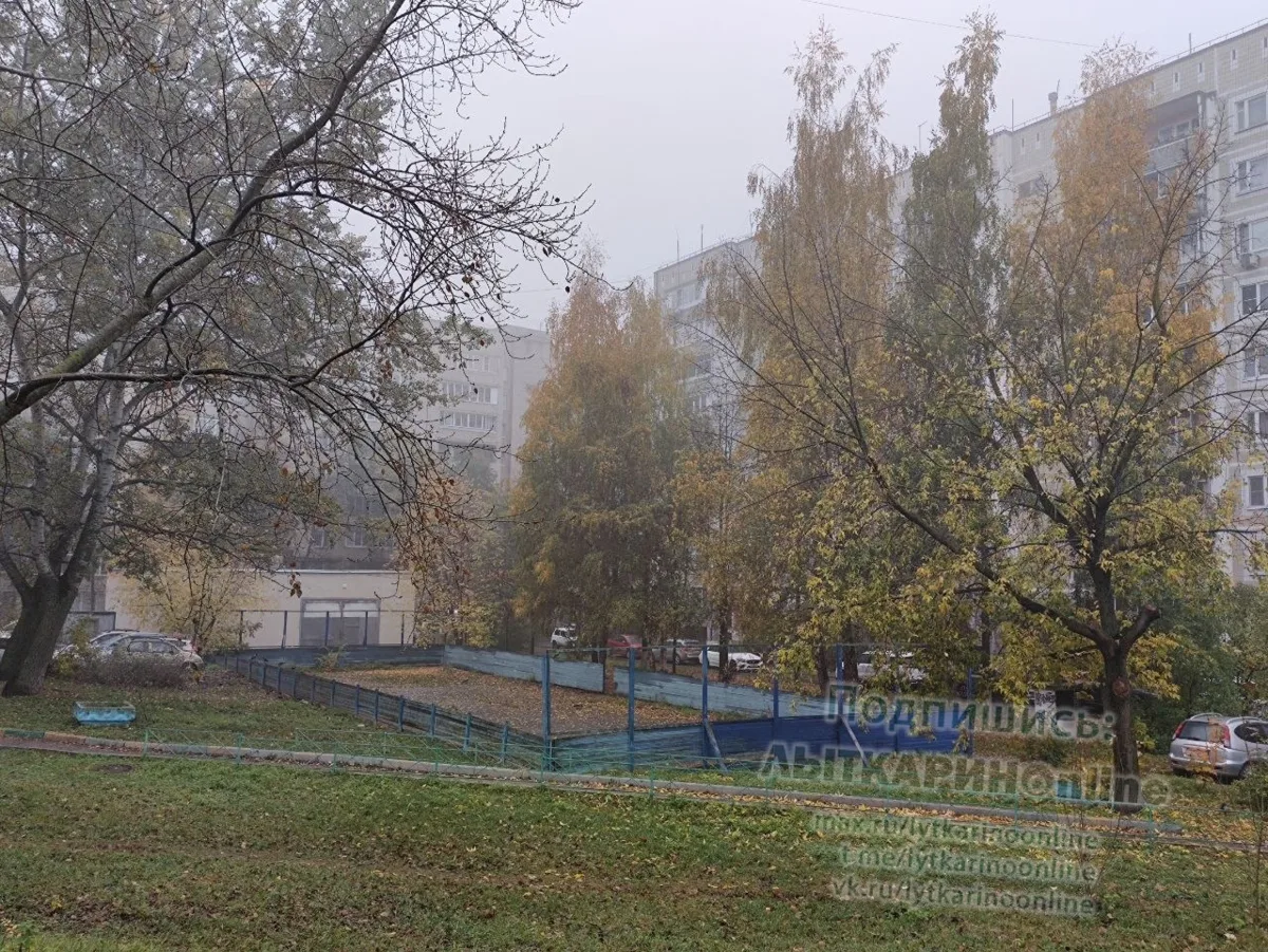 Доброе утро пятницы 🔥