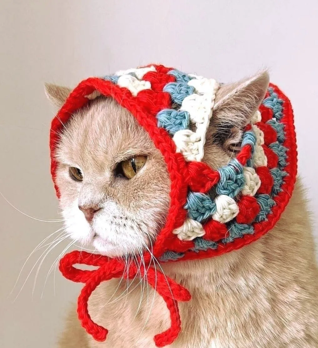 Кото-мода😊