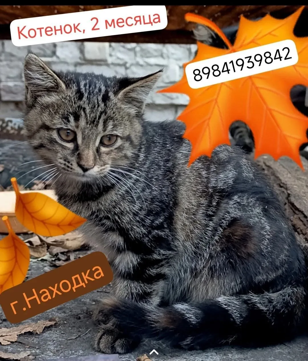 г Находка.