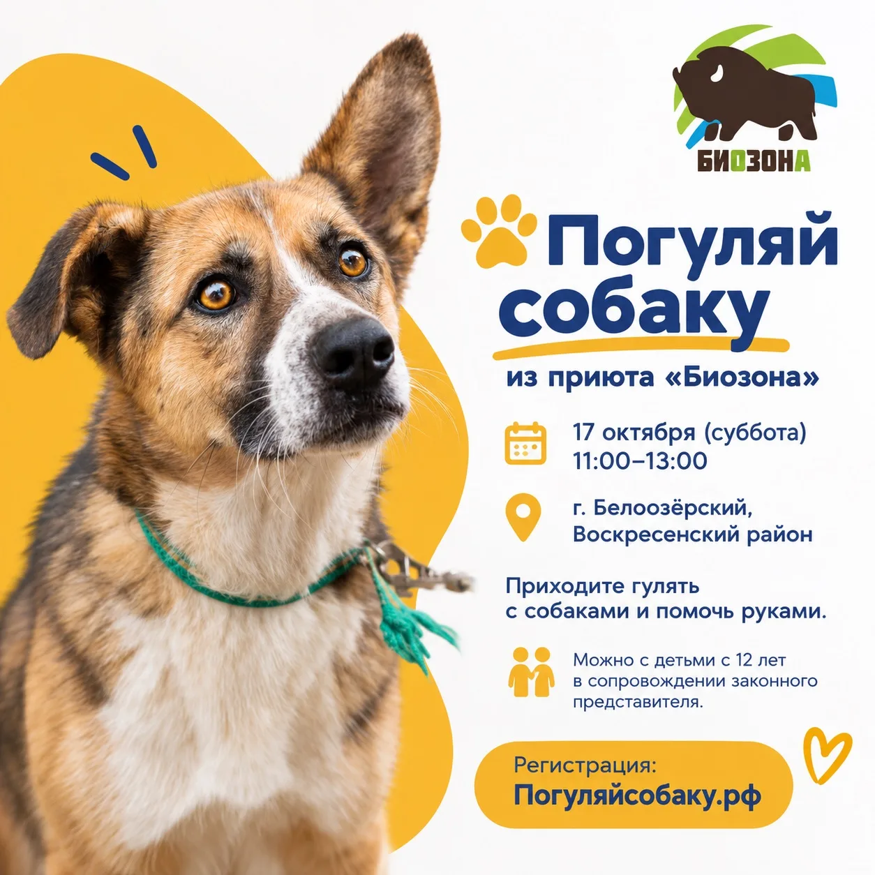 Золотая осень продолжается! 🍂🐾