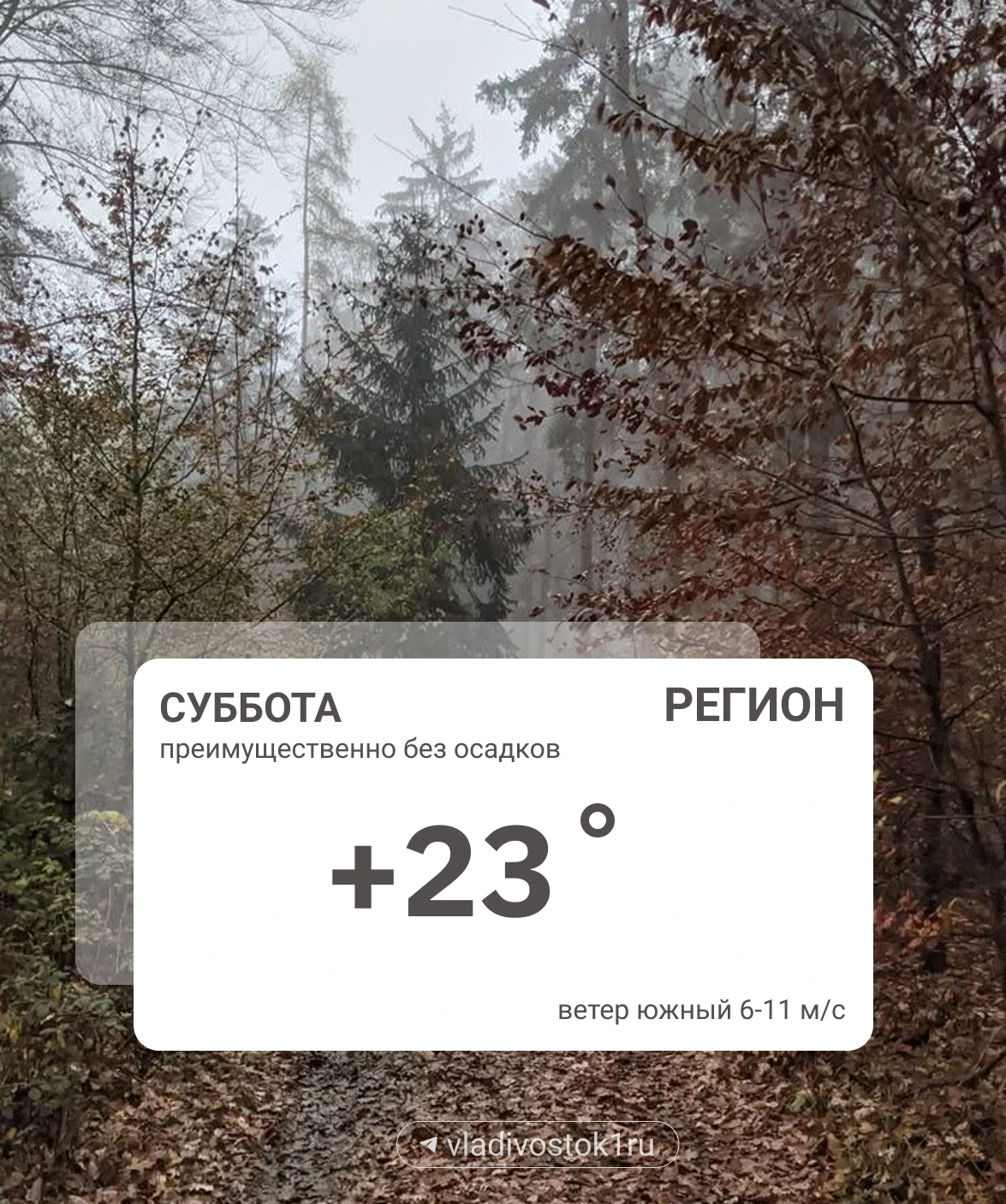 Погода 10 октября.