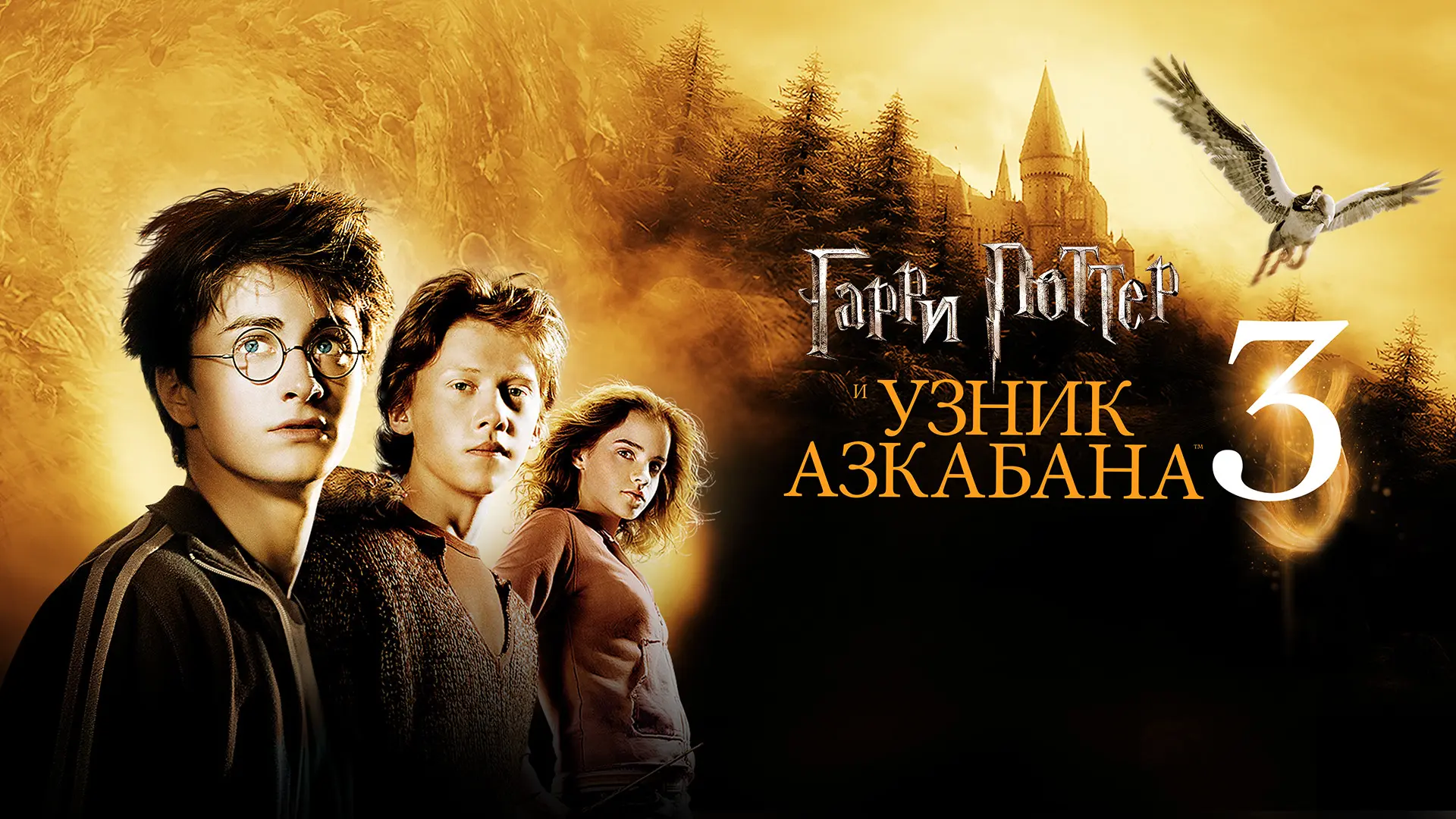 🍿Гарри Поттер: