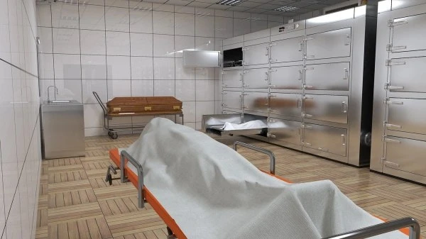 🔨 В Приморье мать и дочь приговорили к длительным срокам за взятки в морге