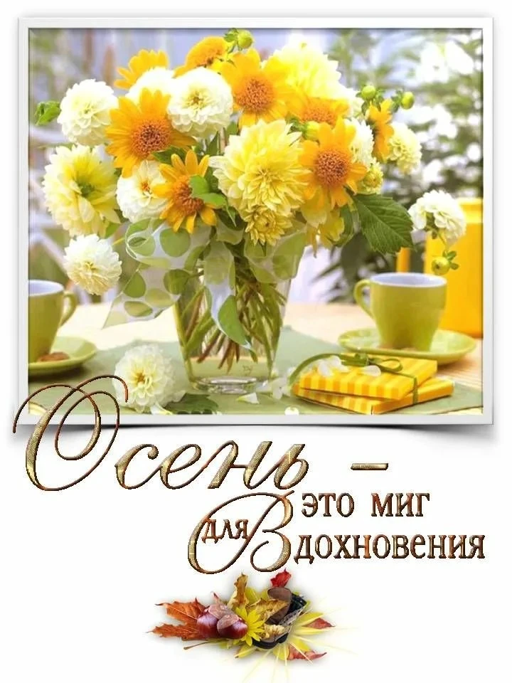 👉 ОТКРЫТКИ 💗 С добрым утром!