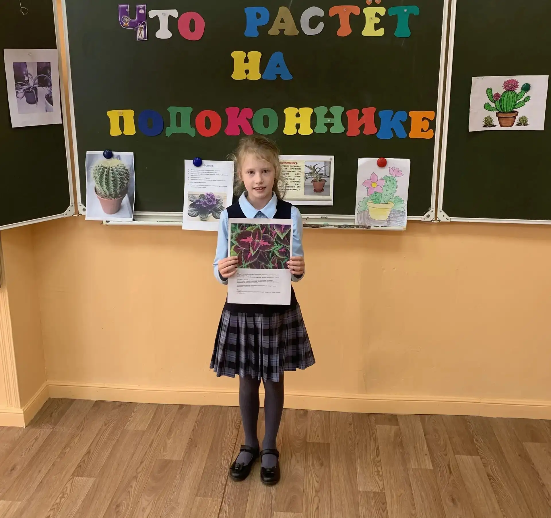 Урок окружающего мира в 1 В классе "Что растёт на подоконнике ?" (классный руководитель...