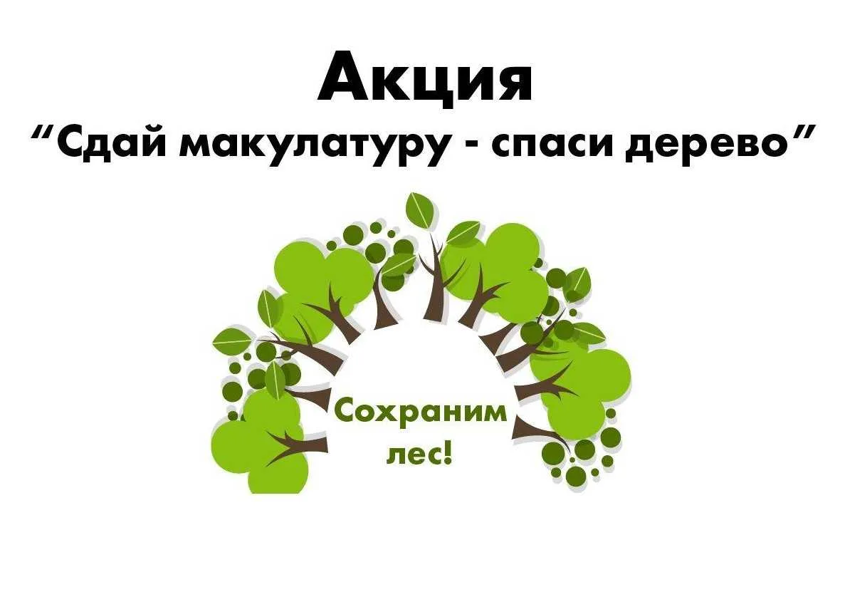 🌳 Экологическая акция «Сдай макулатуру — спаси дерево» прошла в нашей школе!