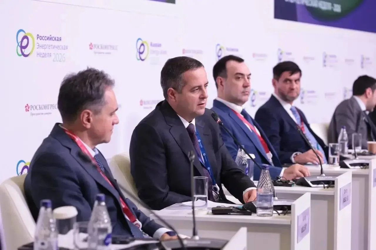 «Россети» назвали на РЭН меры по финансированию масштабных инвестпроектов в условиях та...