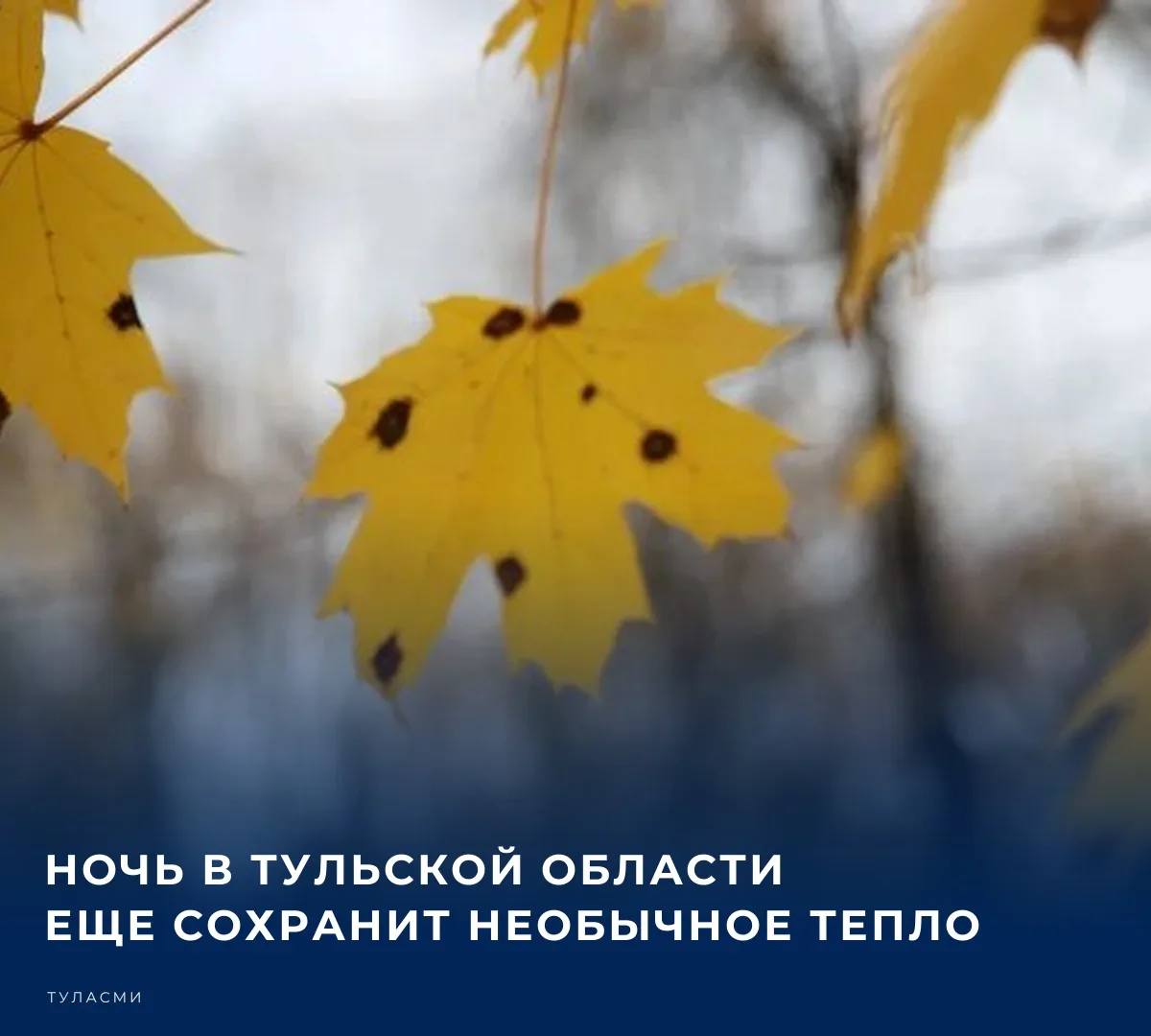 ☁️ По данным синоптиков, ночью 13 октября в Тульской области будет облачно с прояснение...