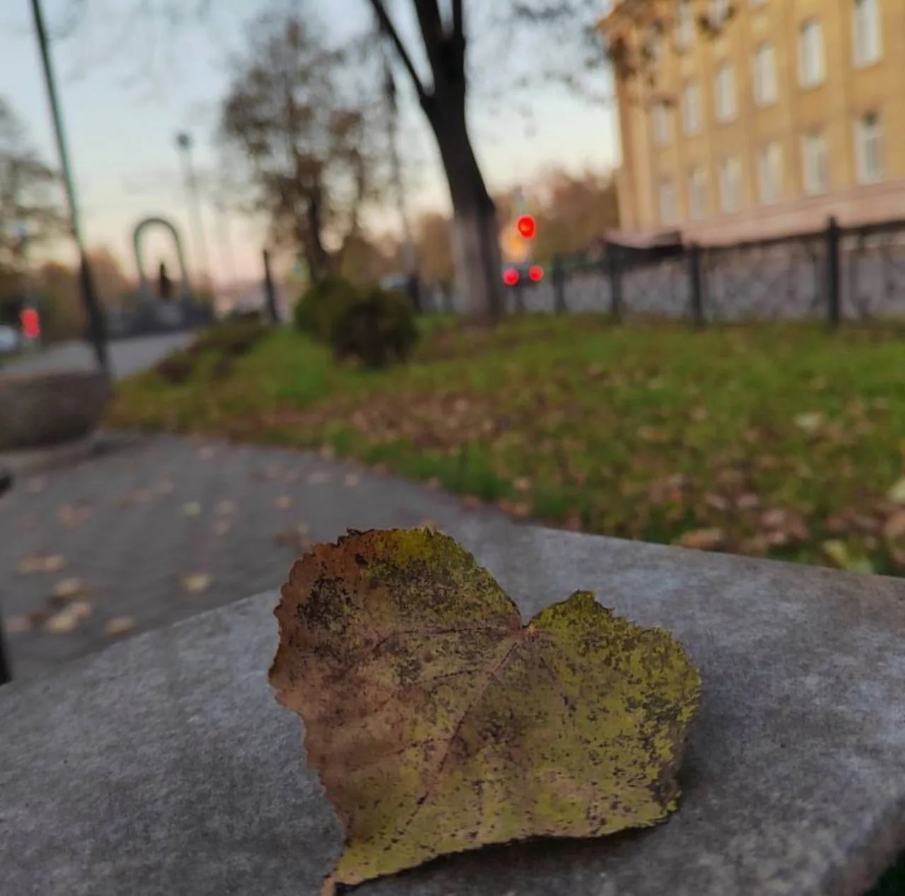 ✍️ Народные приметы на 14 октября (Покров Пресвятой Богородицы)