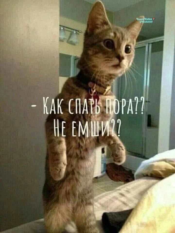 Ложимся🙄