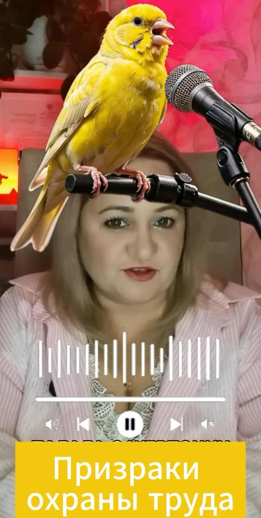 🐦 Канарейка, которая пела, чтобы спасти. И клетка, которая её воскрешала.