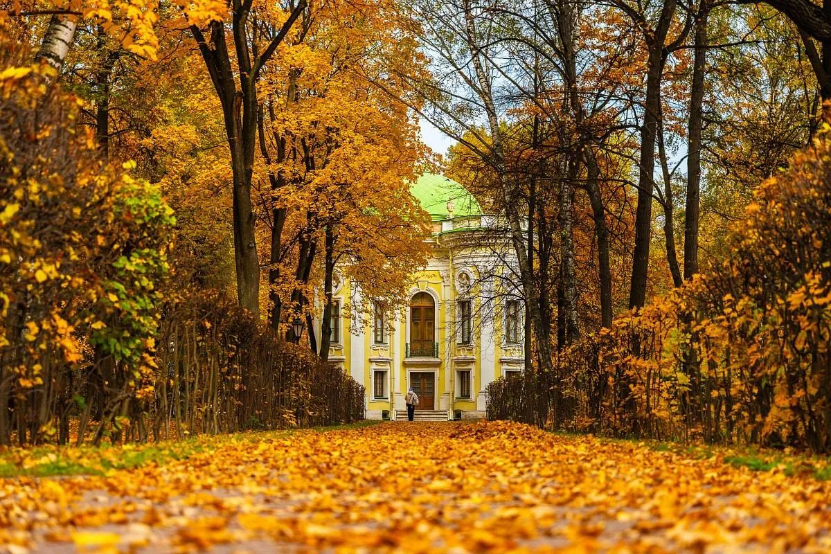 🍁 Знаете ли вы тайны московских парков? 🌳
