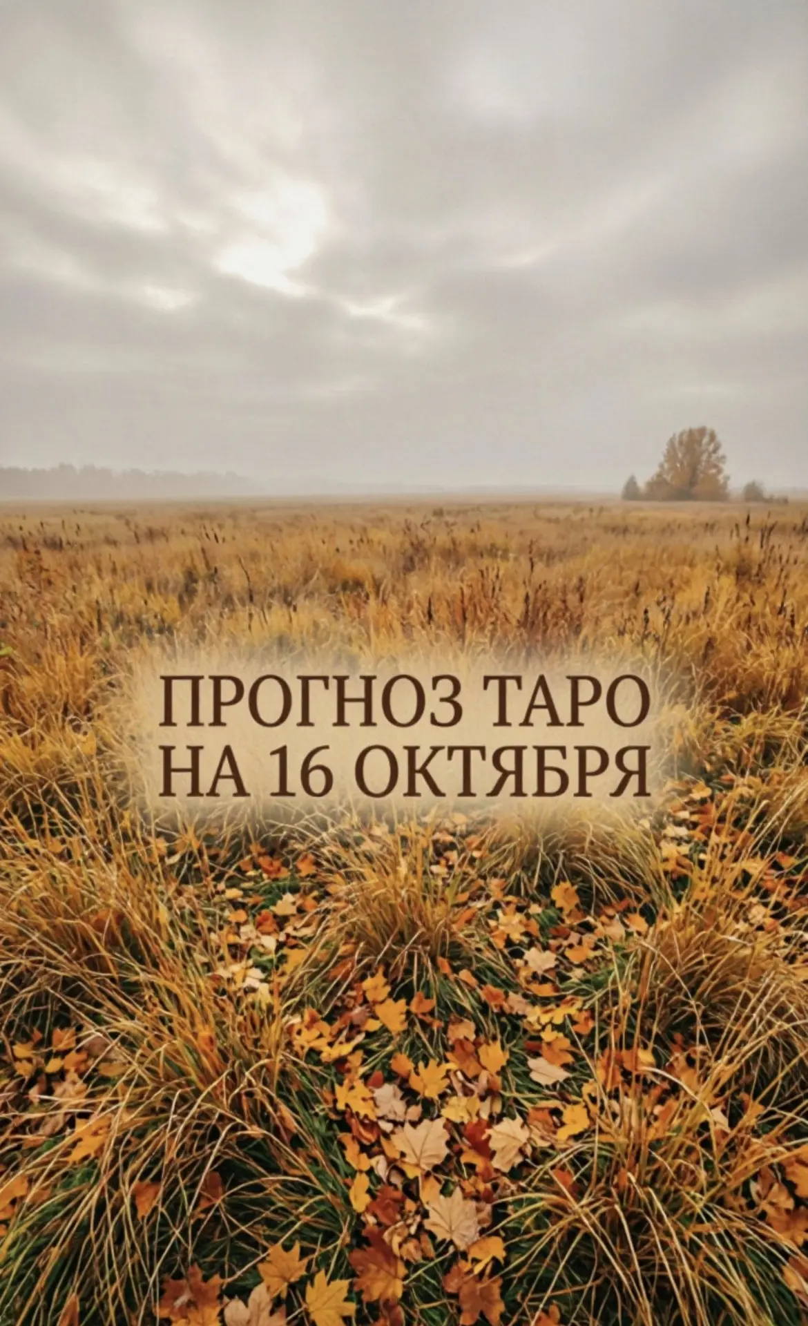О Б Щ И Й  П Р О Г Н О З