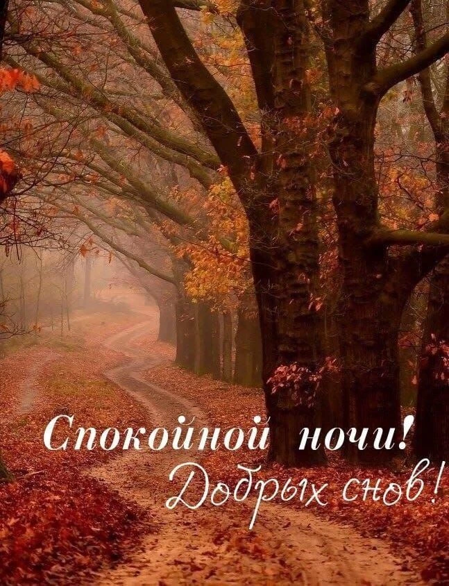 https://max.ru/invista123456