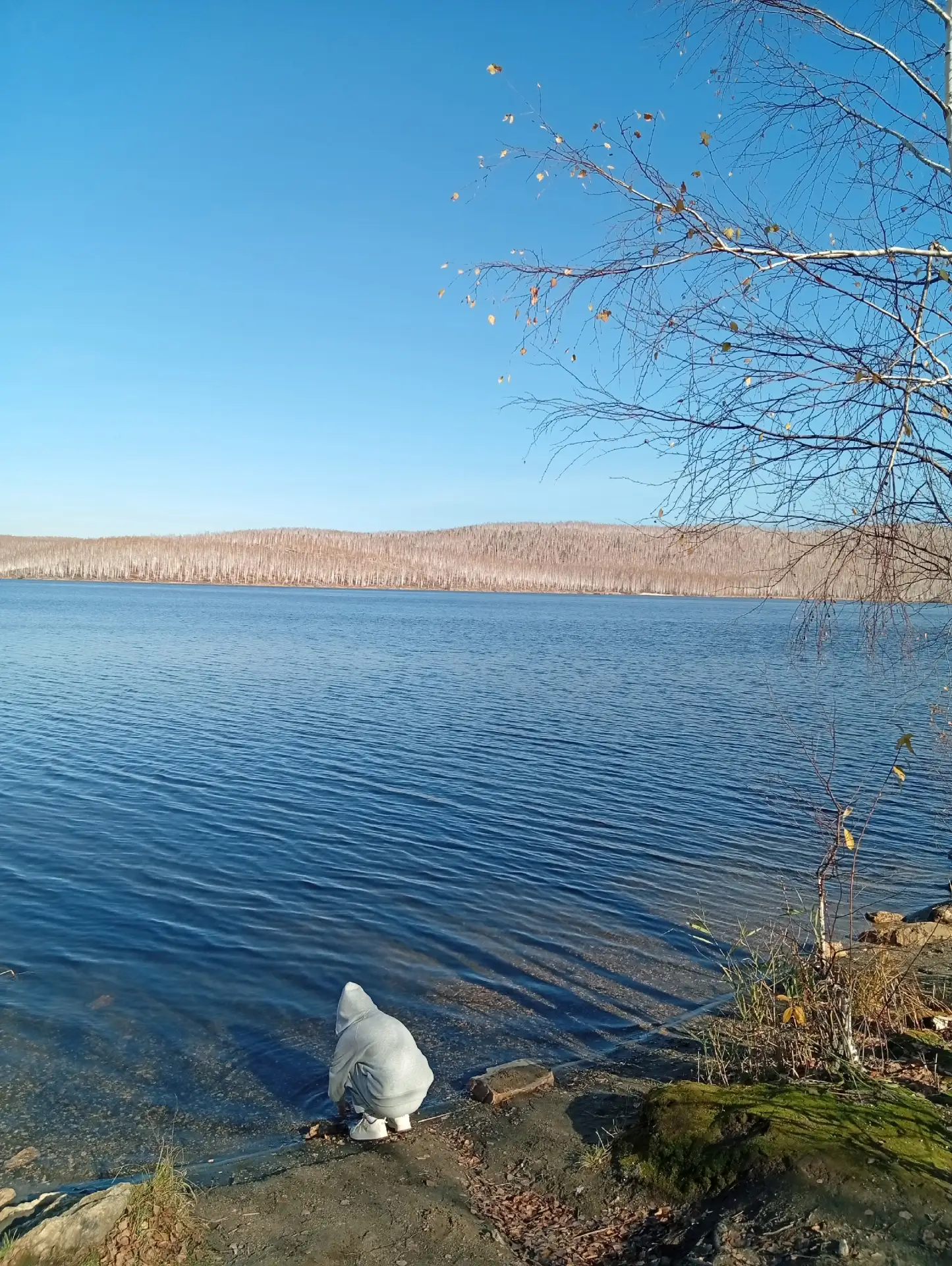Серебры