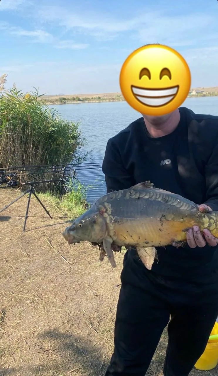 Наконец-то, получилось вырваться на любимое занятие😎 водоём у Иваныча