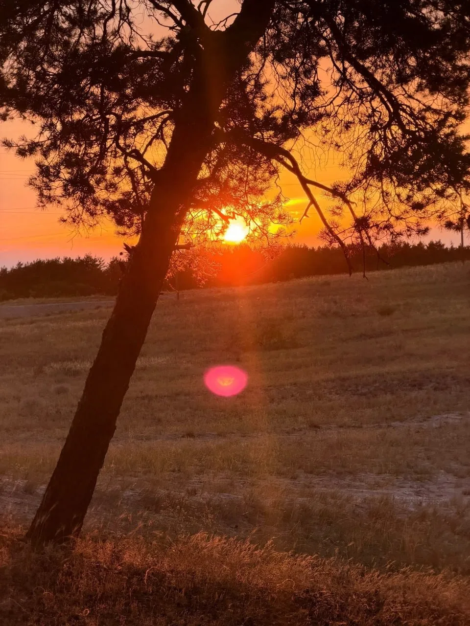 Тёплый осенний закат из Камышина. Красота 😍