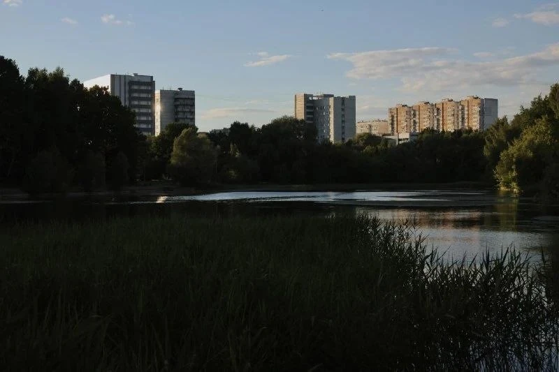 🌤️ Отдых у пруда в районе Ярославский