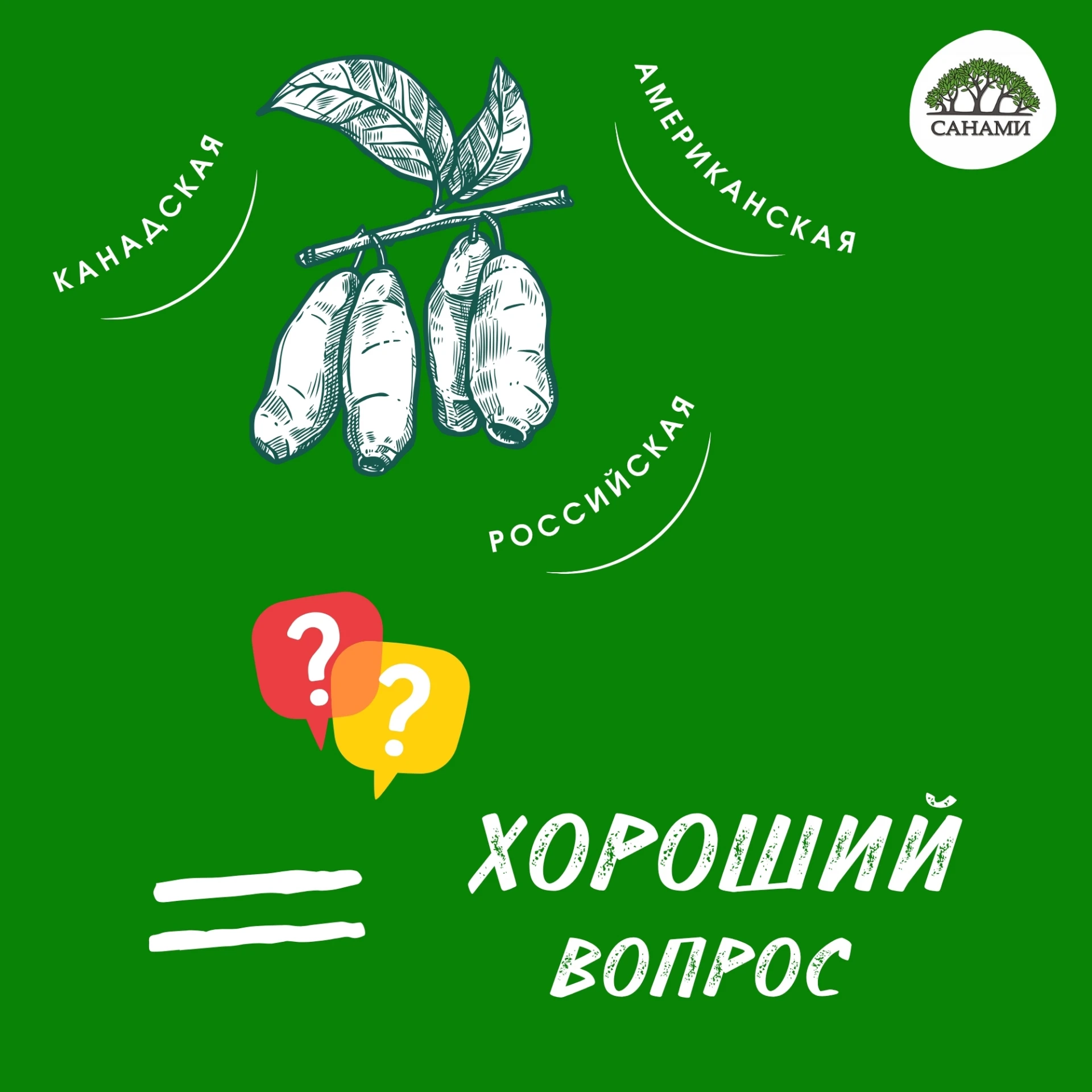 Действительно, у жимолости из разных стран - свой «характер»!