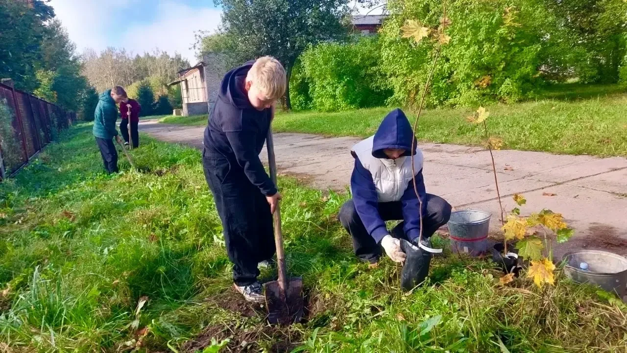 💎 Волонтерство