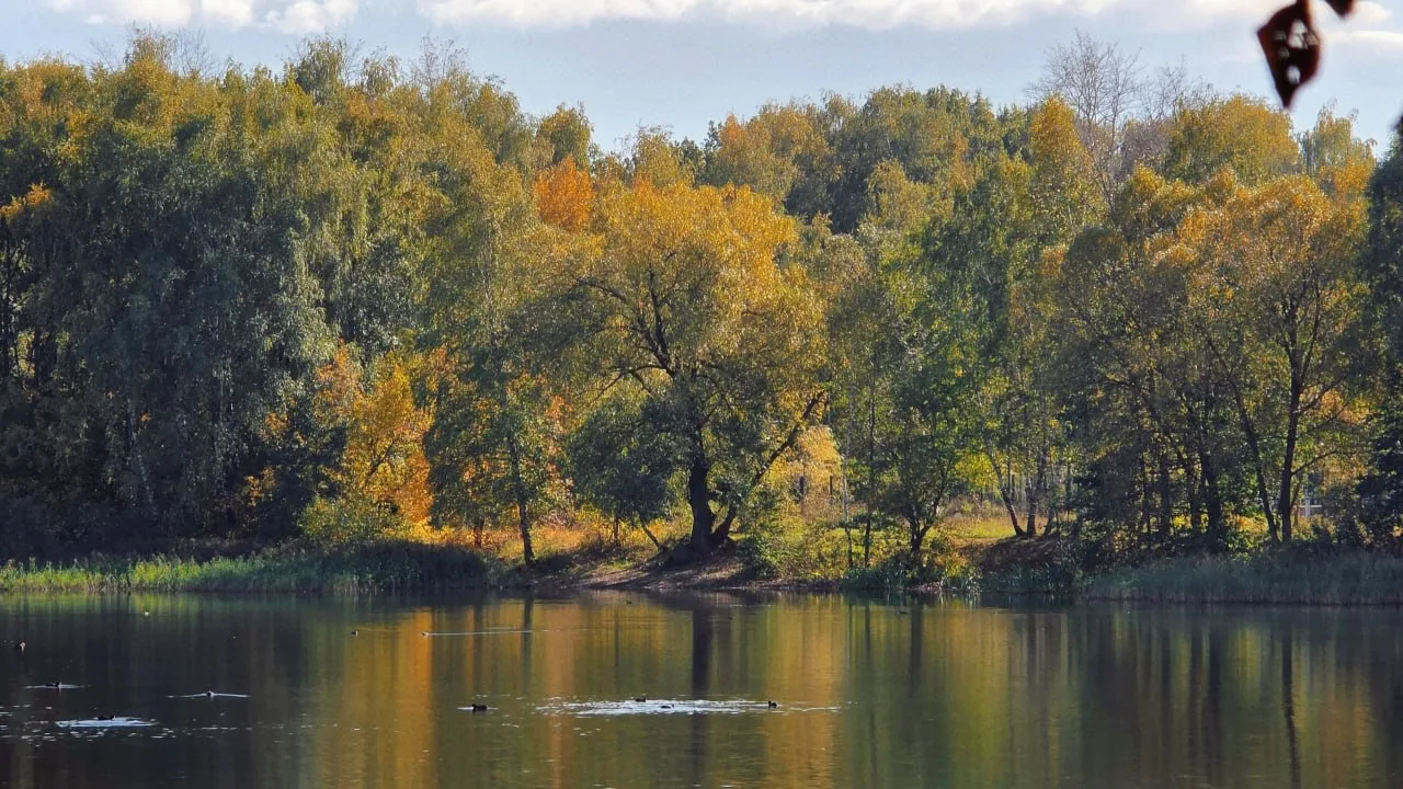 ❤️ Доброе утро!