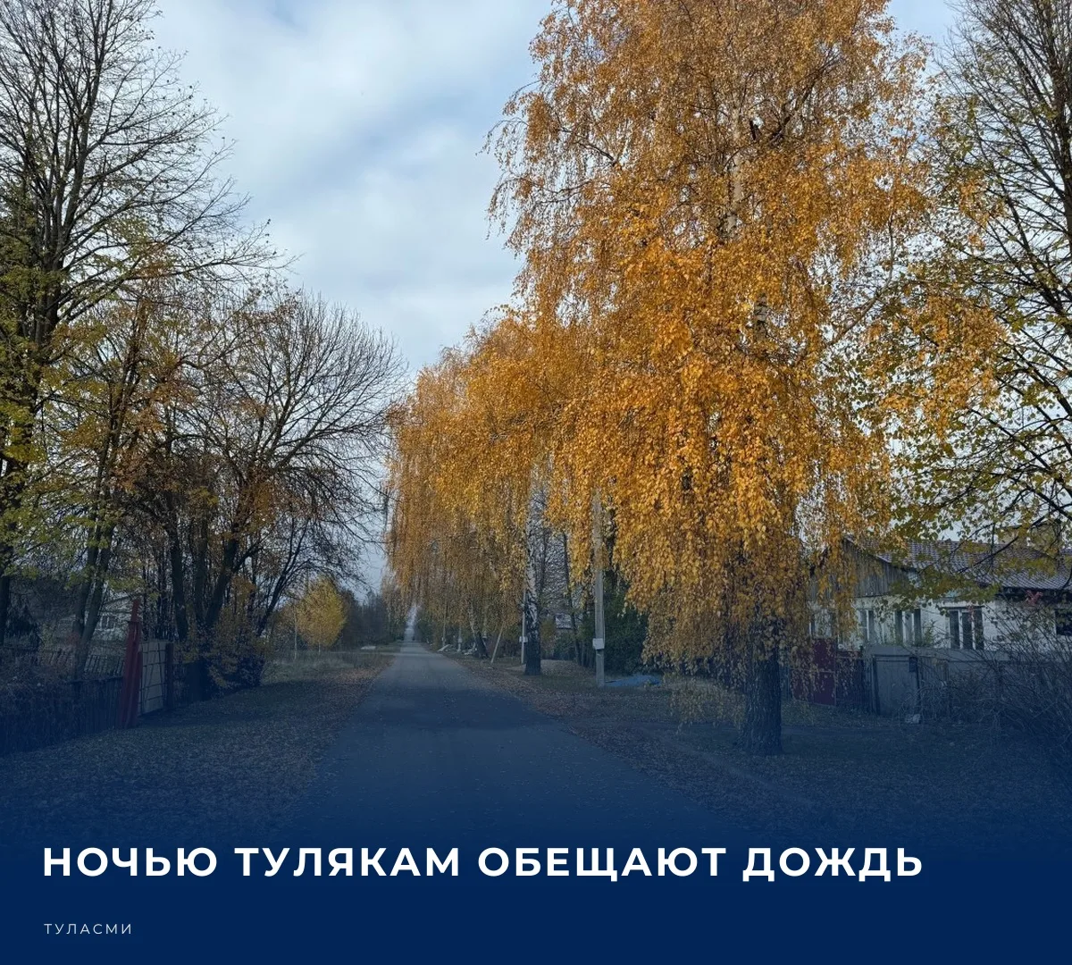 ☁️ По данным Гидрометцентра, в ночные часы в Туле и области пройдет небольшой, местами ...