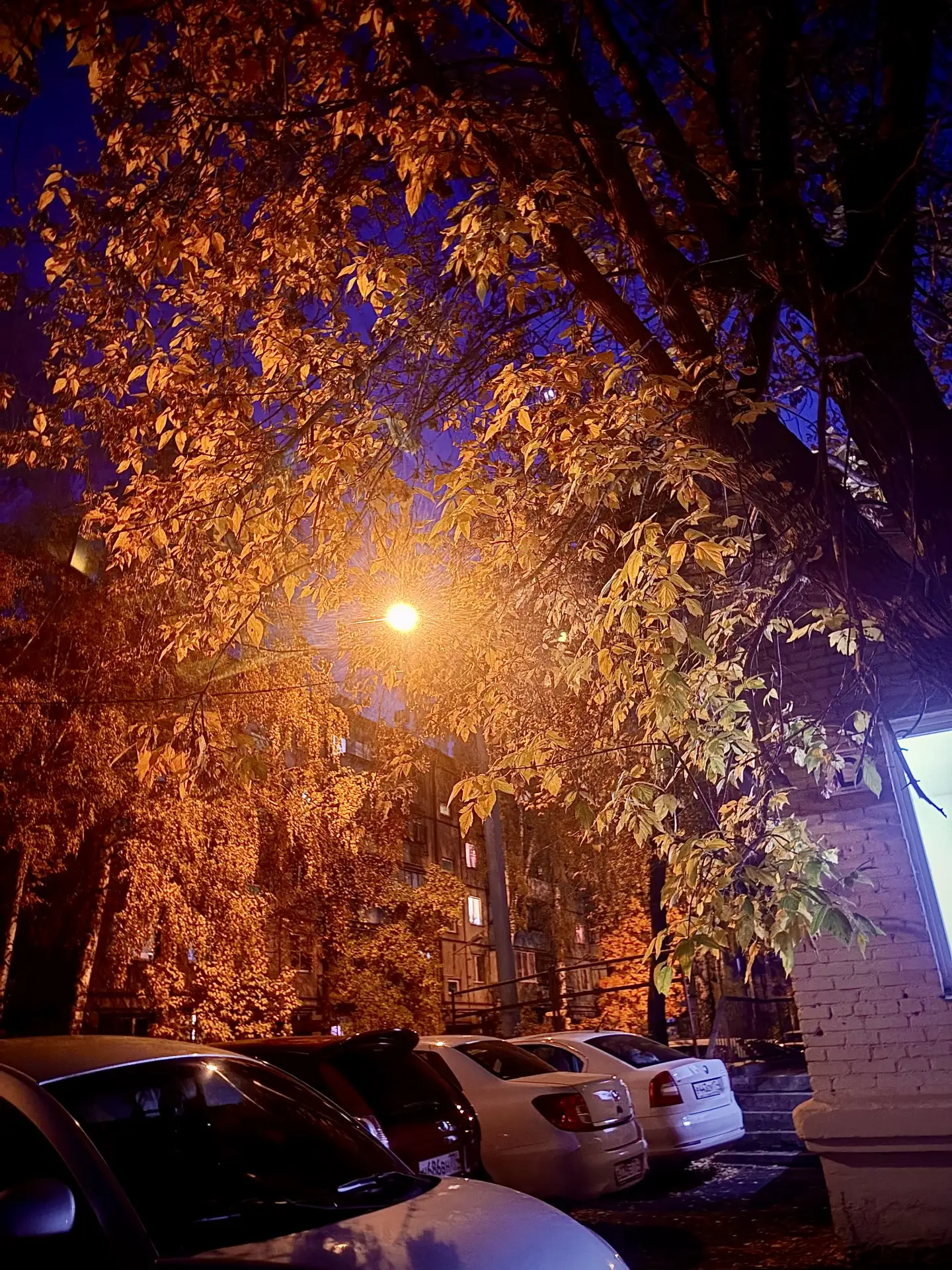 Autumn 🍂